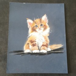 Dessin chaton