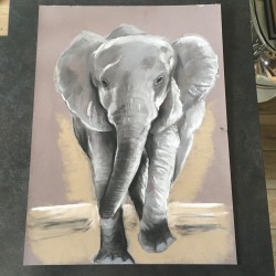 Tableau dessin éléphant