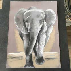 Tableau dessin éléphant