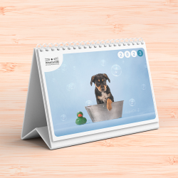 Calendrier 2023 à poser