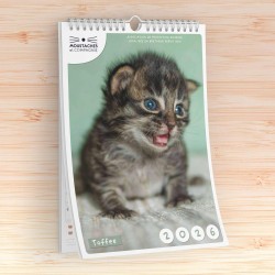 Calendrier mural 2026 -...